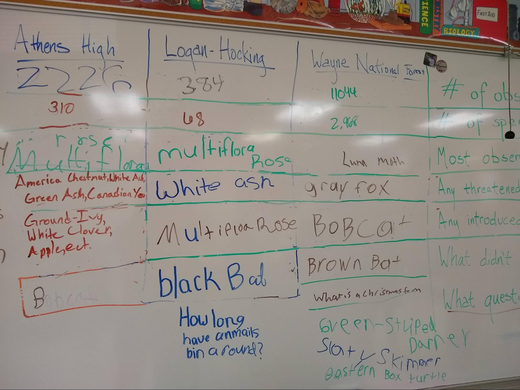 Whiteboard on which a 5th grade class has created a chart comparing BioBlitz data on their school, a neighboring school, and the Wayne National Forest
