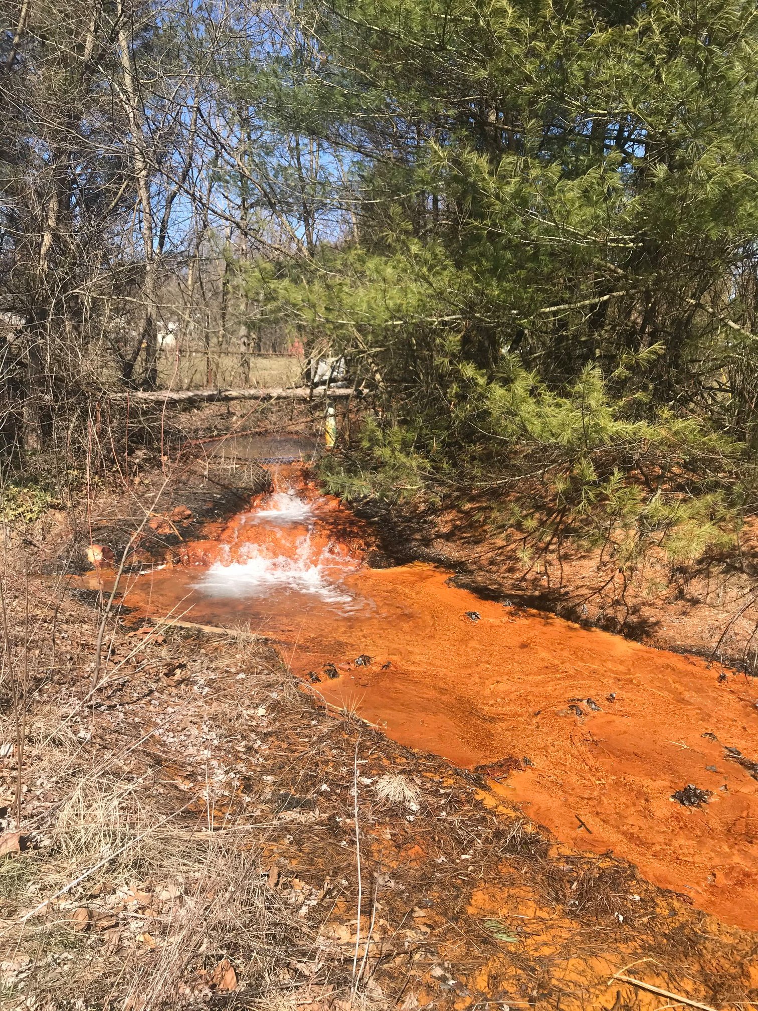Acid mine drainage seep on Truetown Rd., Athens County, Ohio
