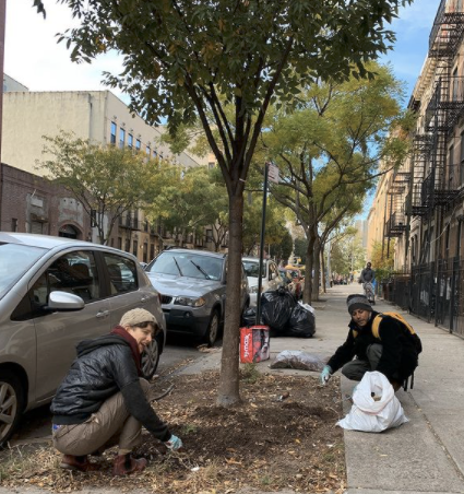 Note: Volunteers provide street tree care in Bed-Stuy, Brooklyn.